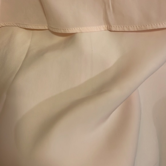 Forever 21 rose dress - Picture 4 of 4